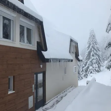 Apartman Pekakop Treska Kopaonik
